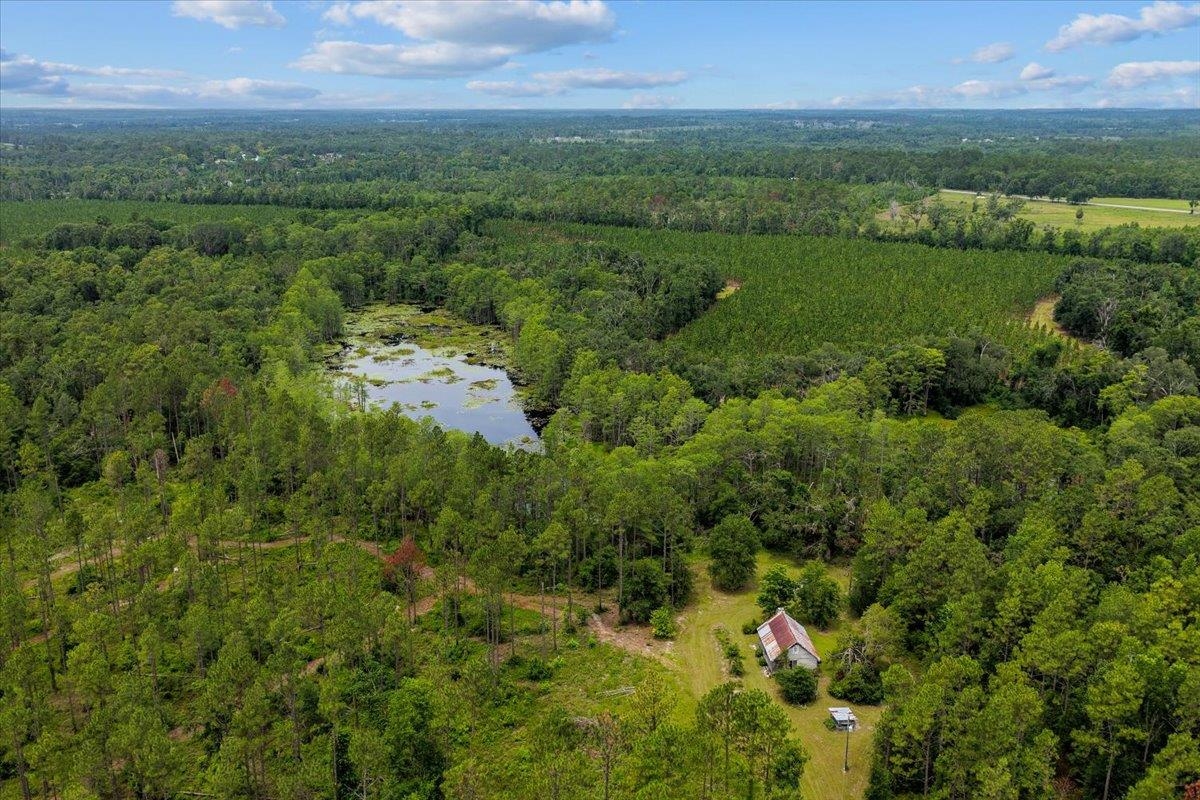 837 NE Raspberry Way, Pinetta, Florida image 10