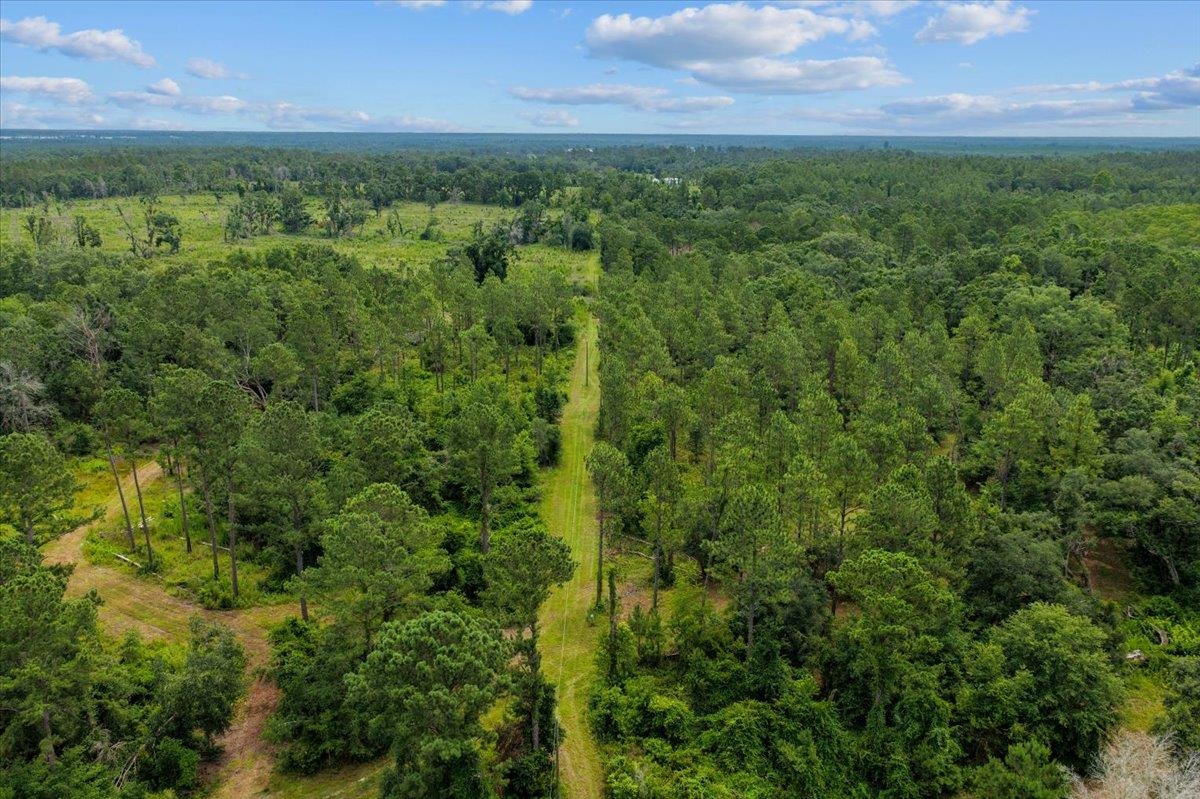 837 NE Raspberry Way, Pinetta, Florida image 13