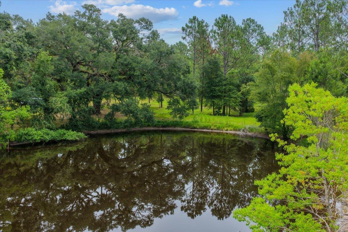 837 NE Raspberry Way, Pinetta, Florida image 16