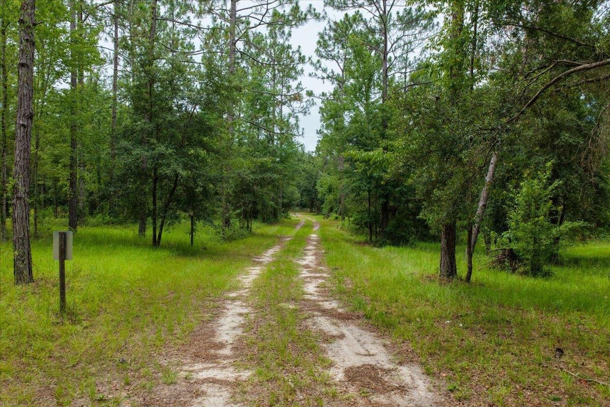 837 NE Raspberry Way, Pinetta, Florida image 18