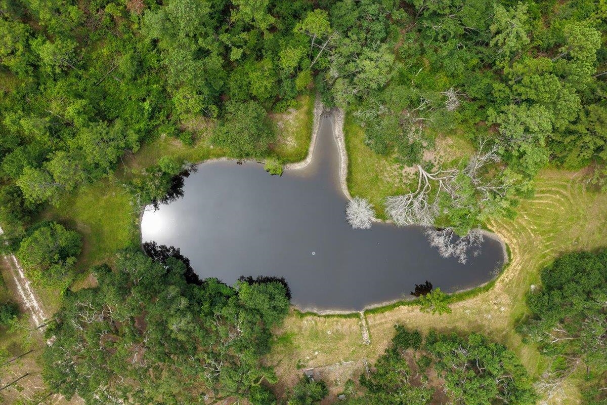 837 NE Raspberry Way, Pinetta, Florida image 19