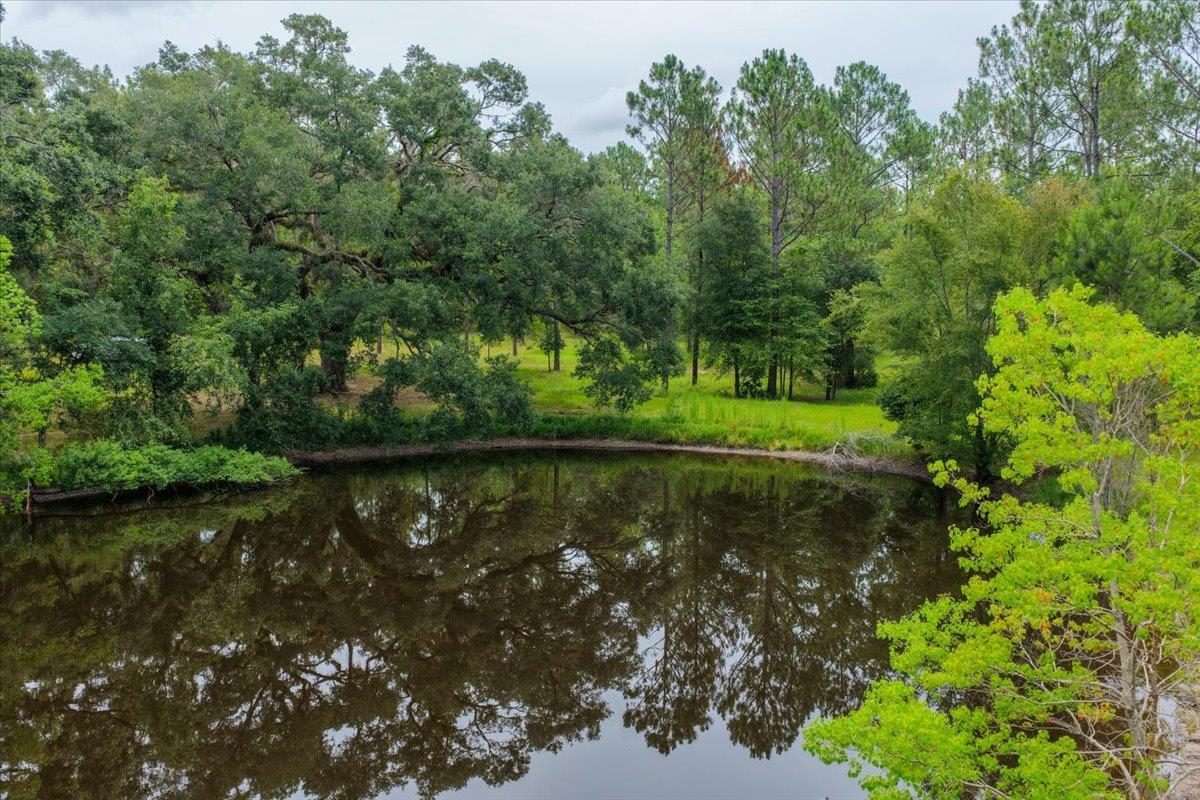 837 NE Raspberry Way, Pinetta, Florida image 21