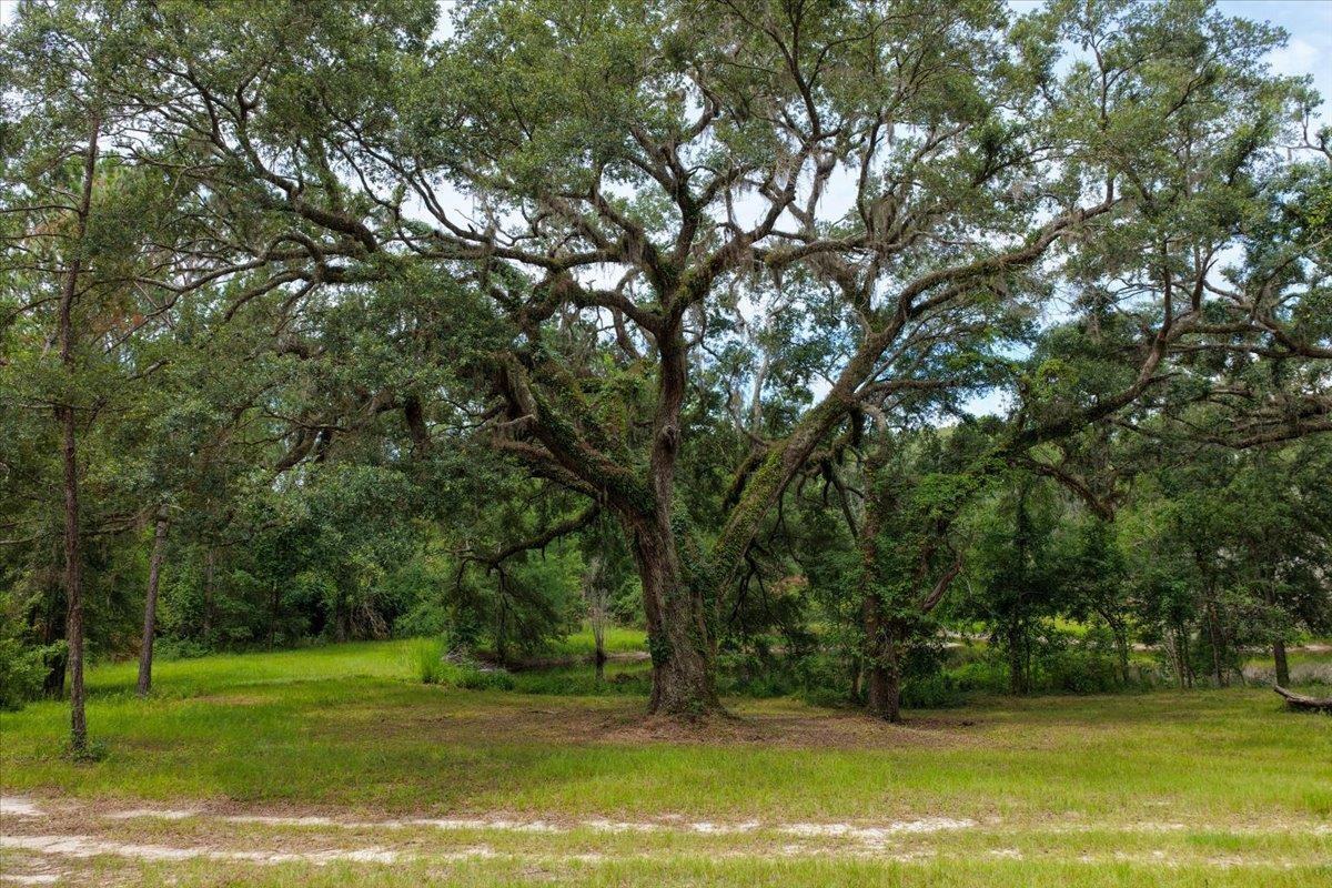 837 NE Raspberry Way, Pinetta, Florida image 22