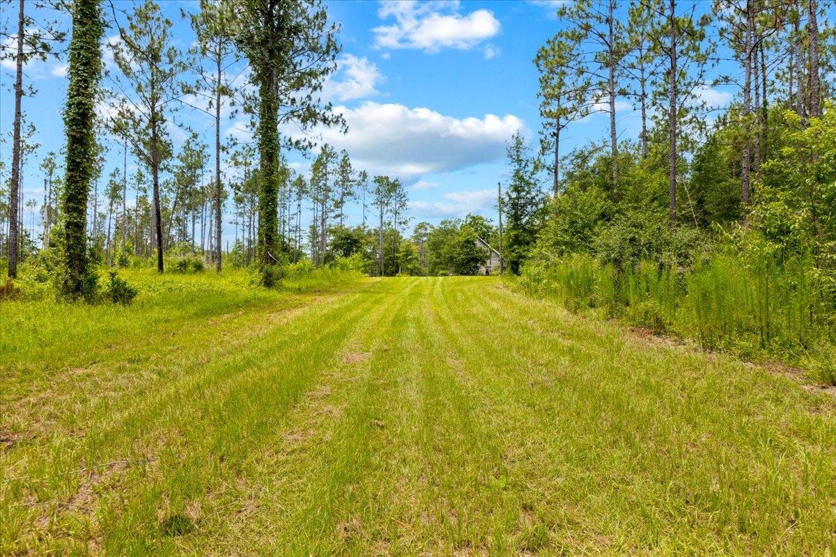 837 NE Raspberry Way, Pinetta, Florida image 24