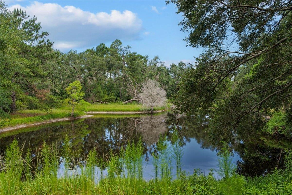 837 NE Raspberry Way, Pinetta, Florida image 4