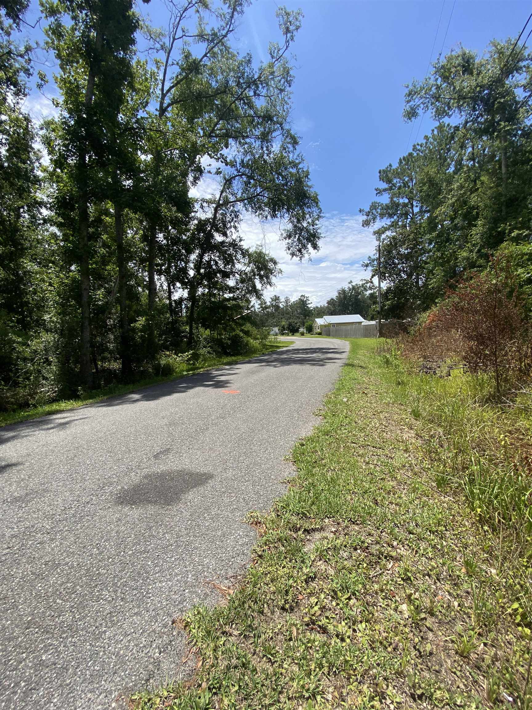 SW Main Street, Greenville, Florida image 3