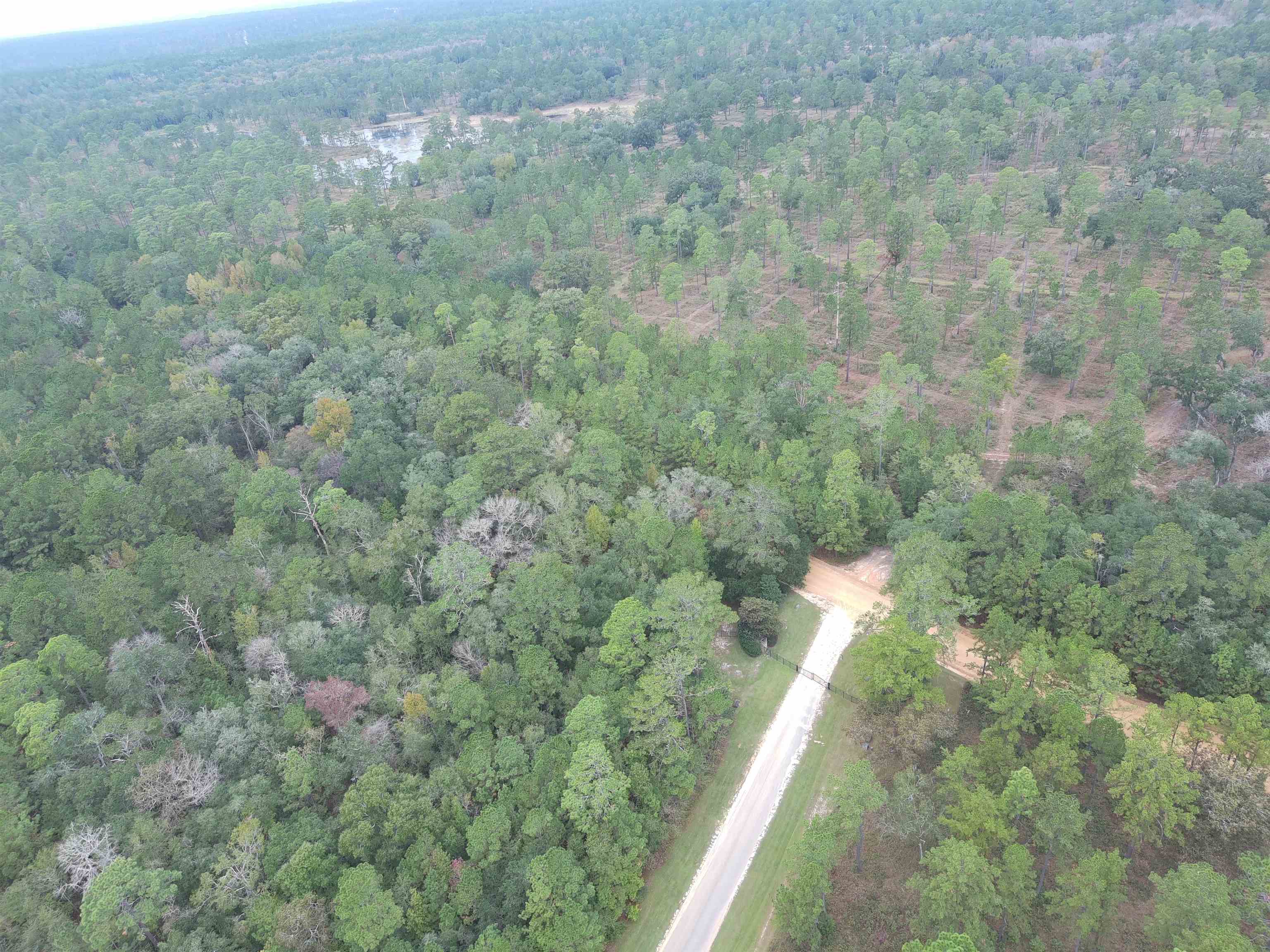 Proctor Road, Tallahassee, Florida image 3