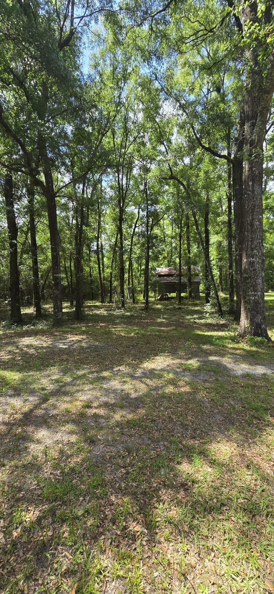 2097 Jo Anne Lane, Tallahassee, Florida image 42