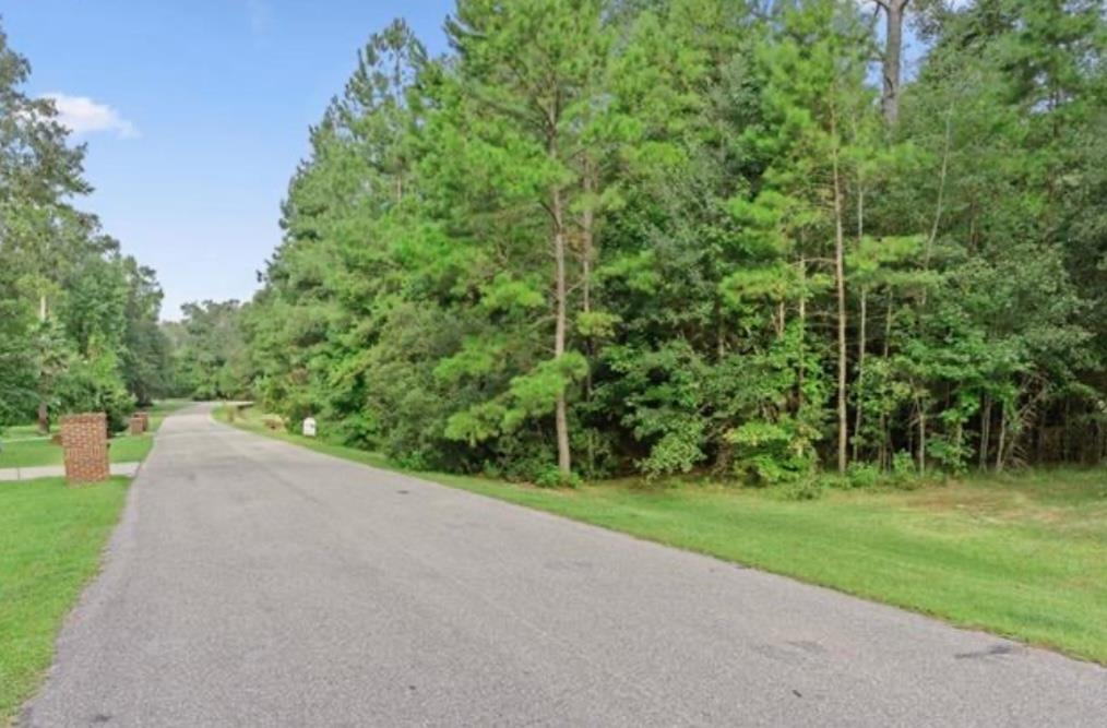 Lot 25 Starhawk, Tallahassee, Texas image 2