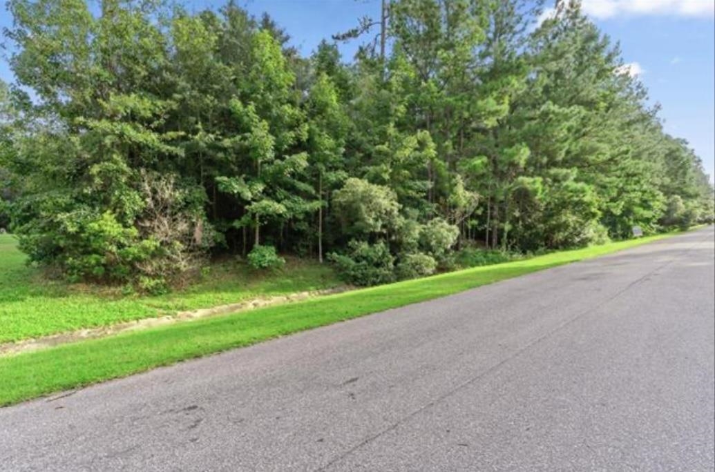 Lot 25 Starhawk, Tallahassee, Texas image 3