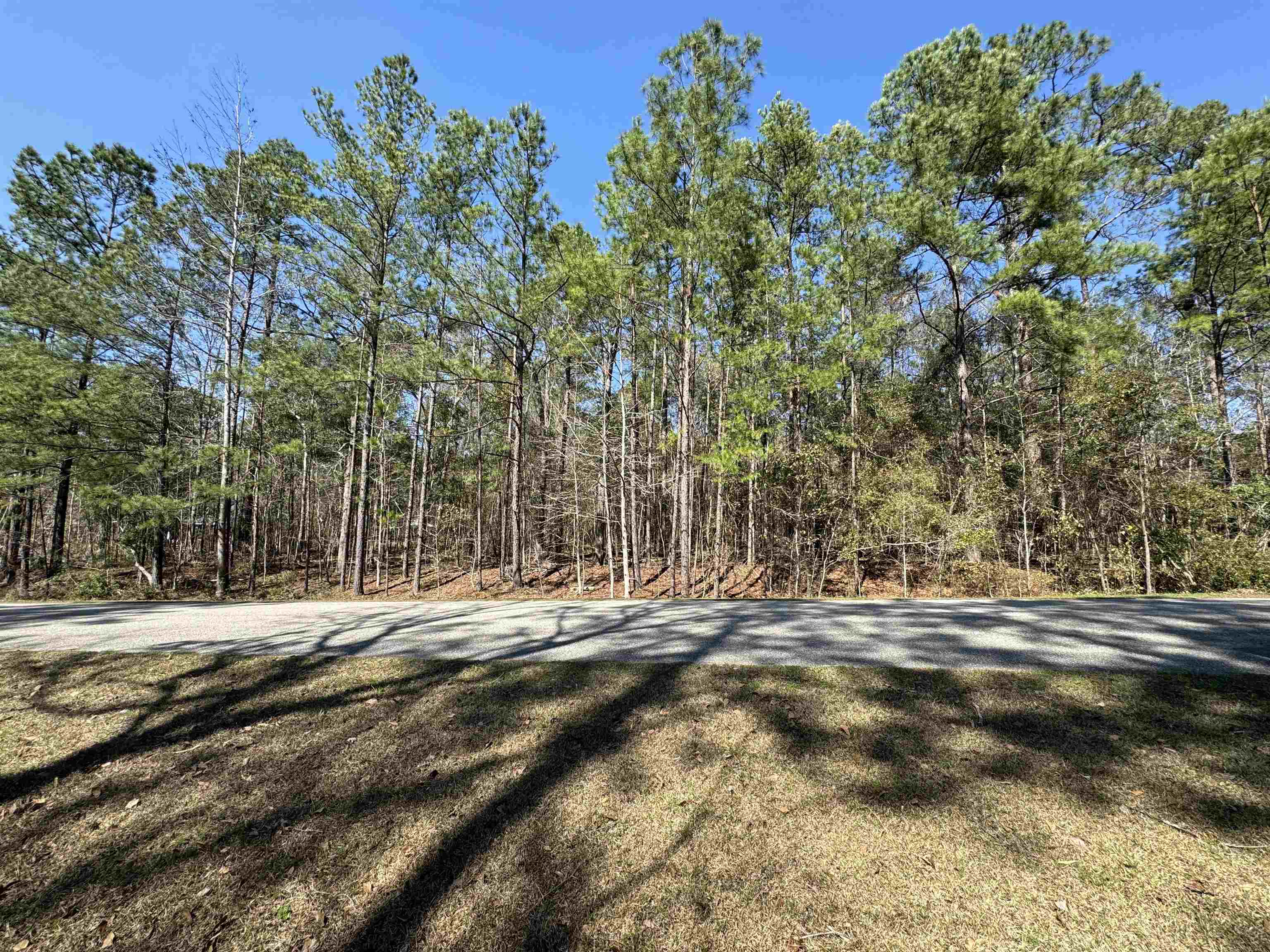 Lot 25 Starhawk, Tallahassee, Texas image 5