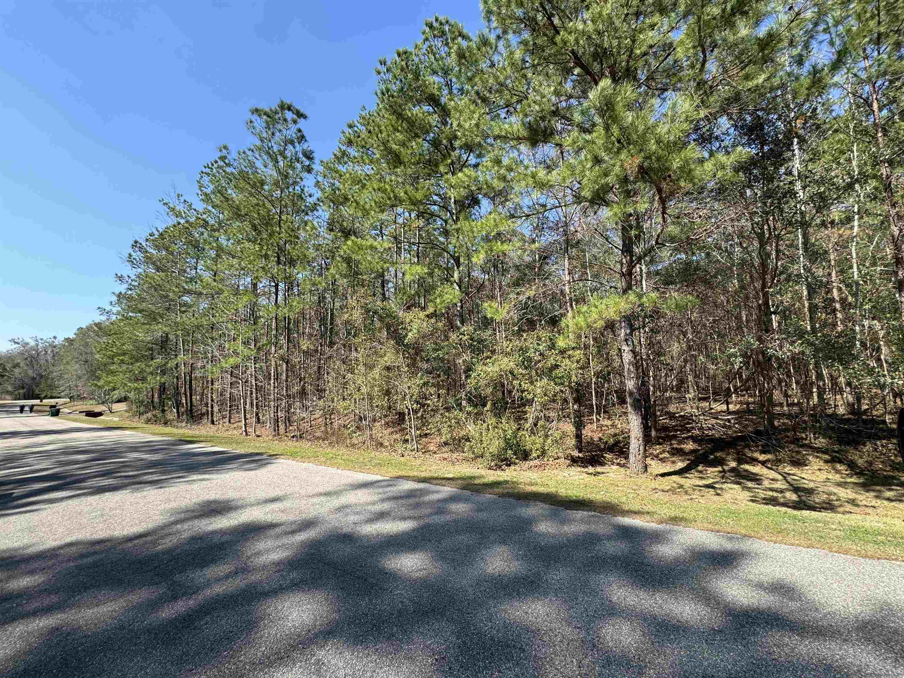 Lot 25 Starhawk, Tallahassee, Texas image 6