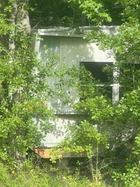 874 Flatwoods Road, Monticello, Florida image 1