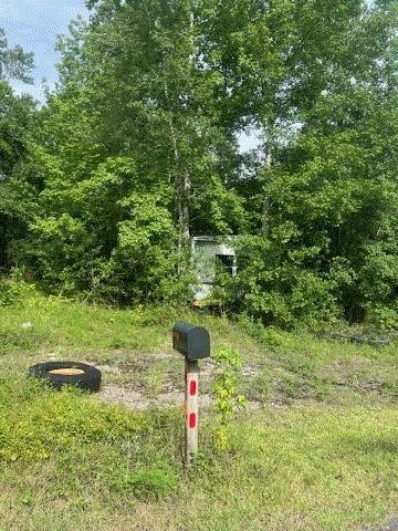 874 Flatwoods Road, Monticello, Florida image 3