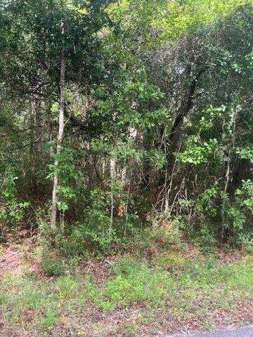 874 Flatwoods Road, Monticello, Florida image 5