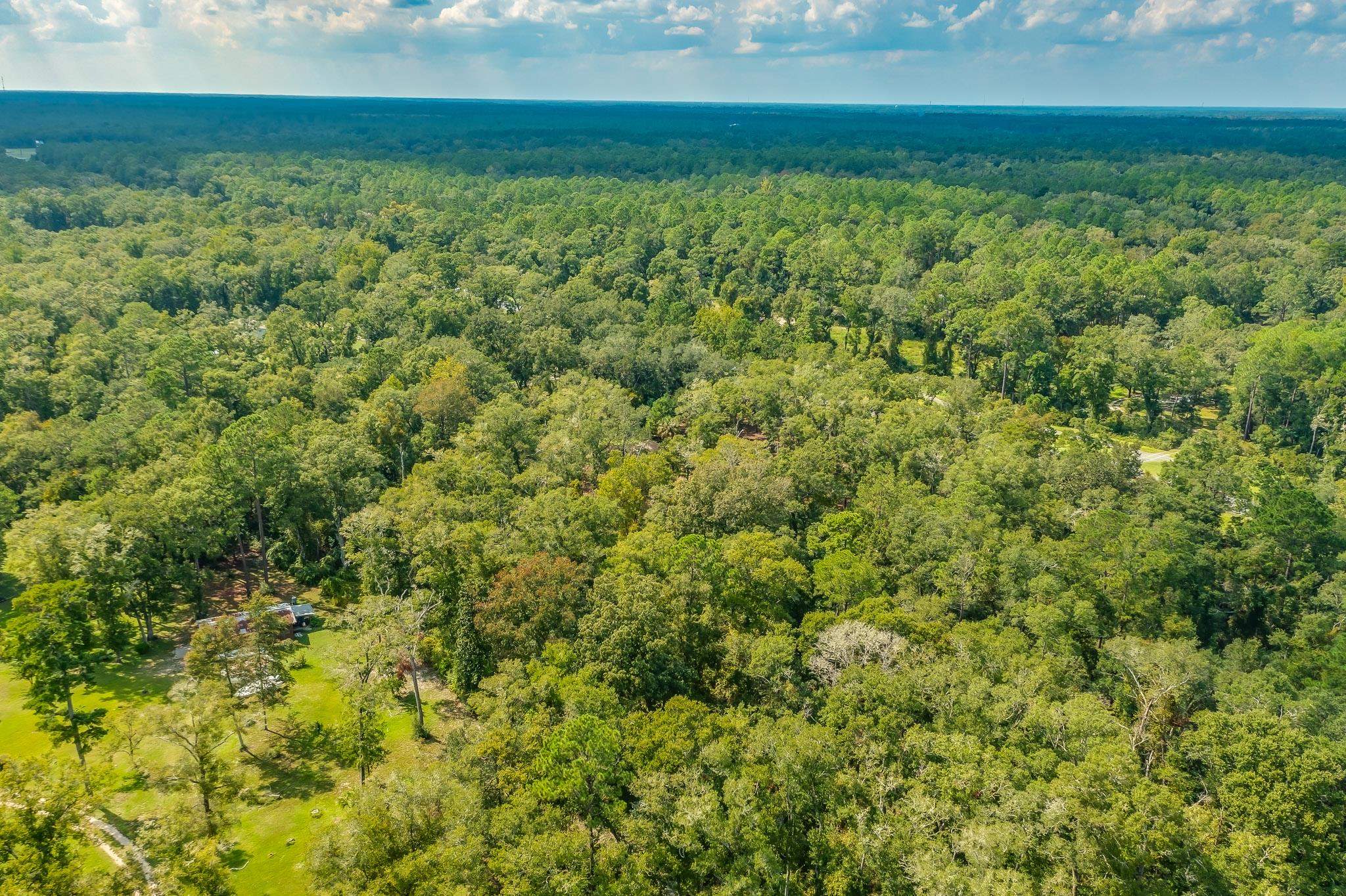 5033 Coastal Highway, Crawfordville, Florida image 16