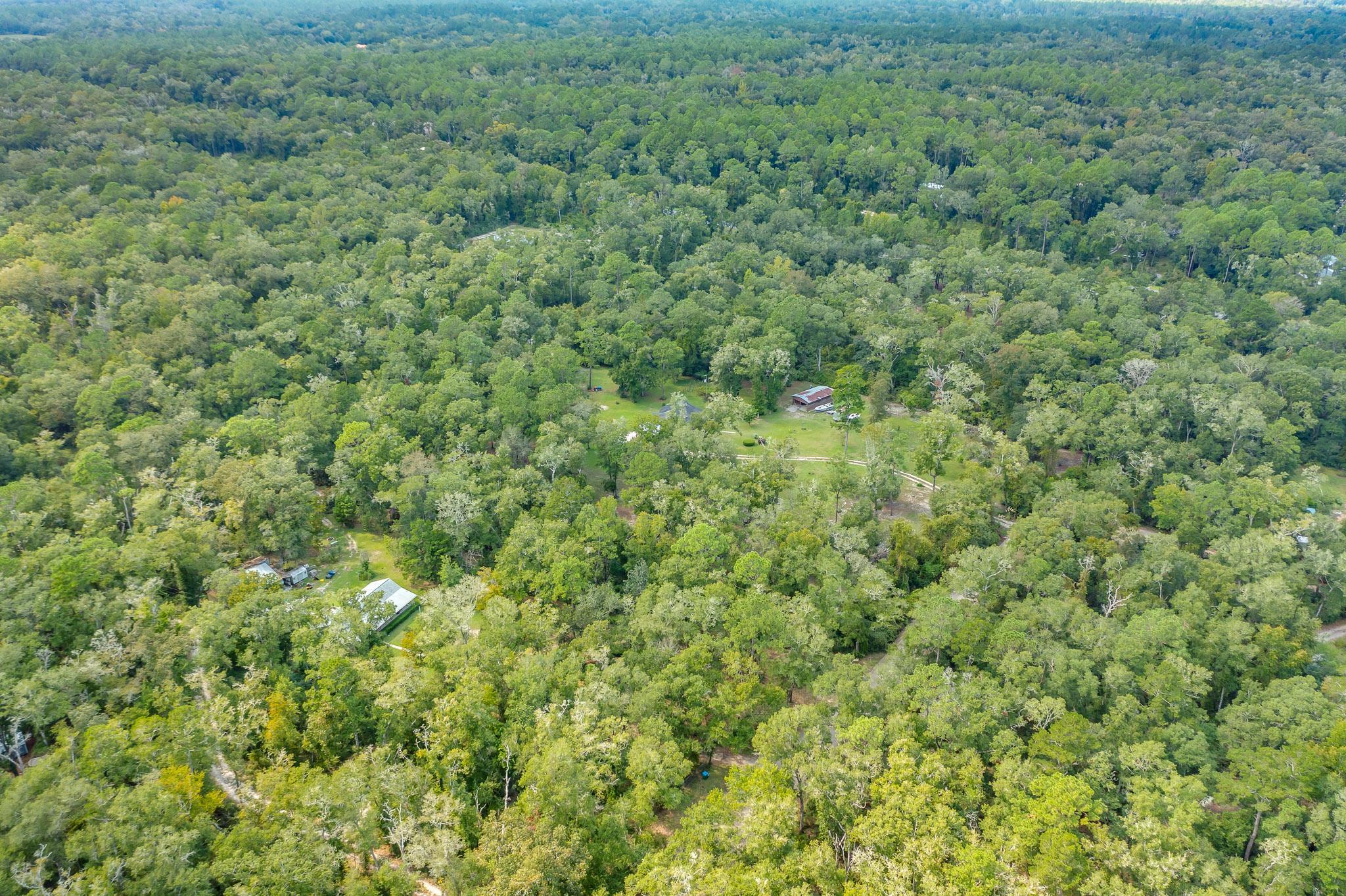 5033 Coastal Highway, Crawfordville, Florida image 23