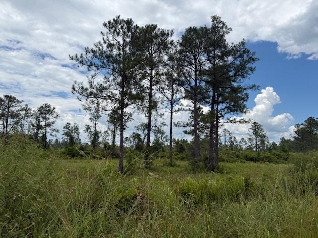 TBD Albert Hendry Road, Greenville, Florida image 10