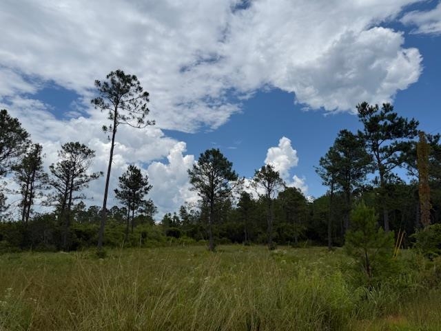 TBD Albert Hendry Road, Greenville, Florida image 11