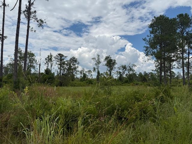 TBD Albert Hendry Road, Greenville, Florida image 12