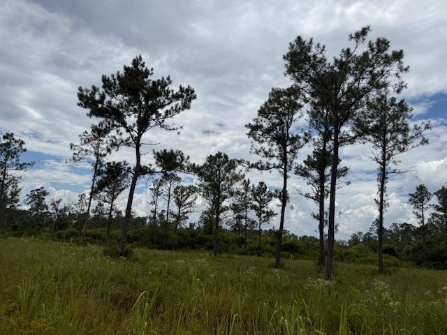 TBD Albert Hendry Road, Greenville, Florida image 13