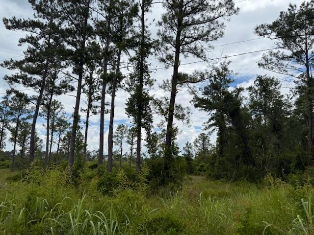 TBD Albert Hendry Road, Greenville, Florida image 14