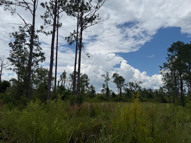 TBD Albert Hendry Road, Greenville, Florida image 15