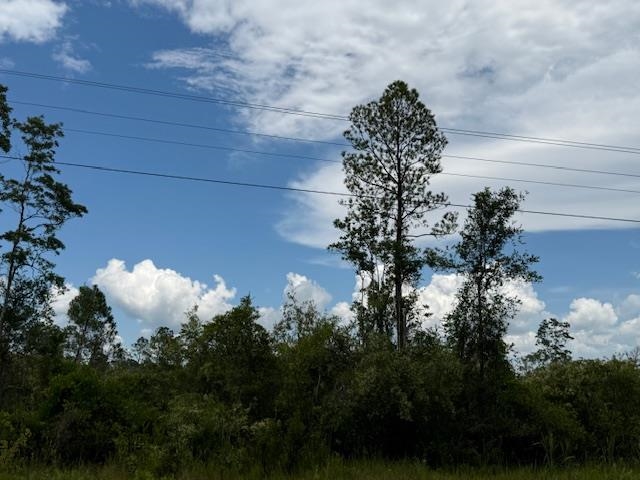TBD Albert Hendry Road, Greenville, Florida image 16