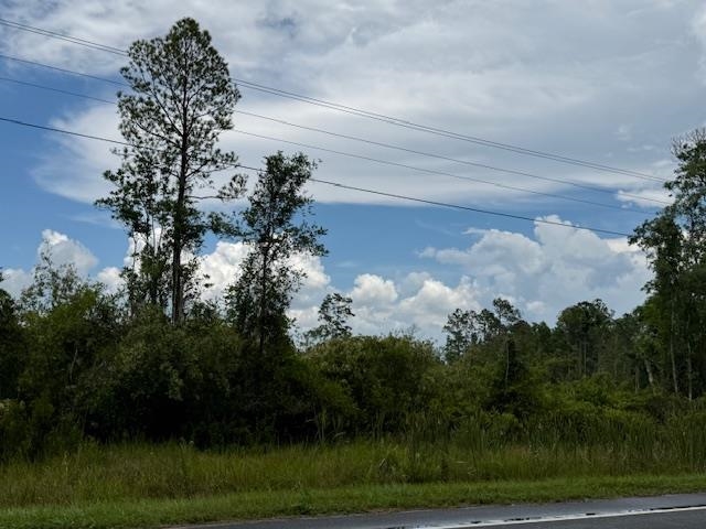 TBD Albert Hendry Road, Greenville, Florida image 17