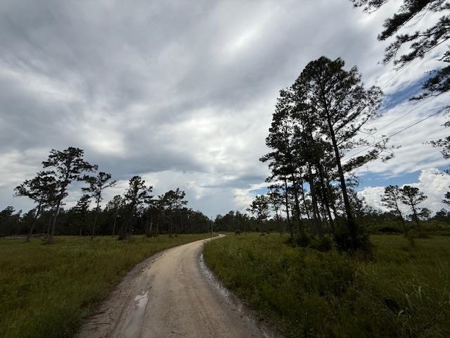 TBD Albert Hendry Road, Greenville, Florida image 18