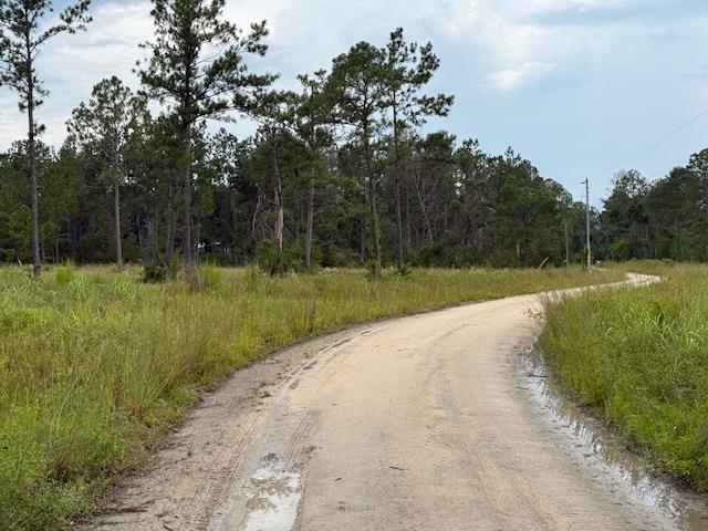 TBD Albert Hendry Road, Greenville, Florida image 2