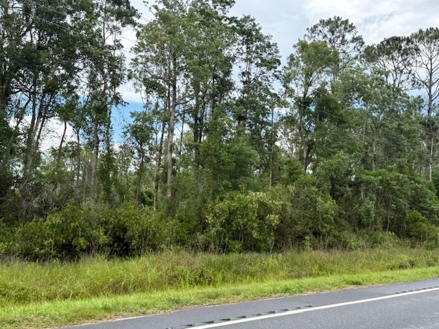 TBD Albert Hendry Road, Greenville, Florida image 20