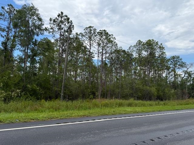 TBD Albert Hendry Road, Greenville, Florida image 21
