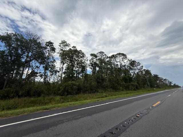 TBD Albert Hendry Road, Greenville, Florida image 22
