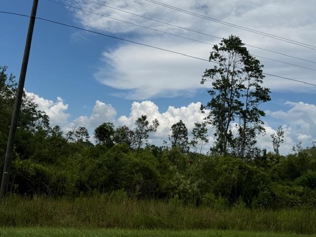 TBD Albert Hendry Road, Greenville, Florida image 23