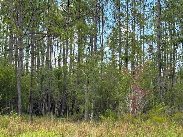TBD Albert Hendry Road, Greenville, Florida image 24