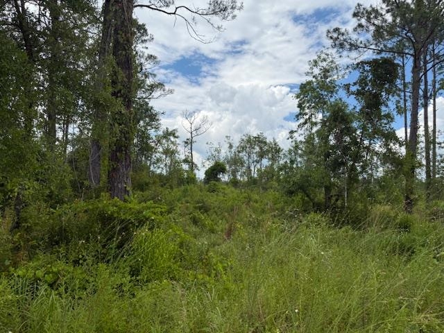 TBD Albert Hendry Road, Greenville, Florida image 25