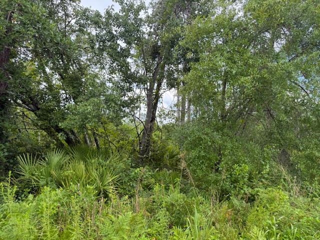 TBD Albert Hendry Road, Greenville, Florida image 26