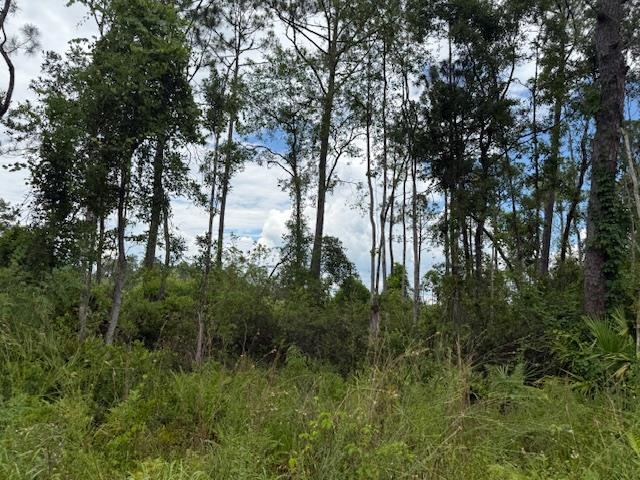 TBD Albert Hendry Road, Greenville, Florida image 27