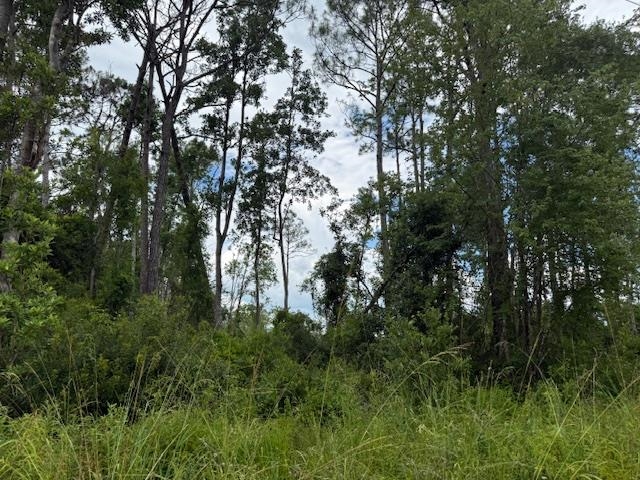 TBD Albert Hendry Road, Greenville, Florida image 28