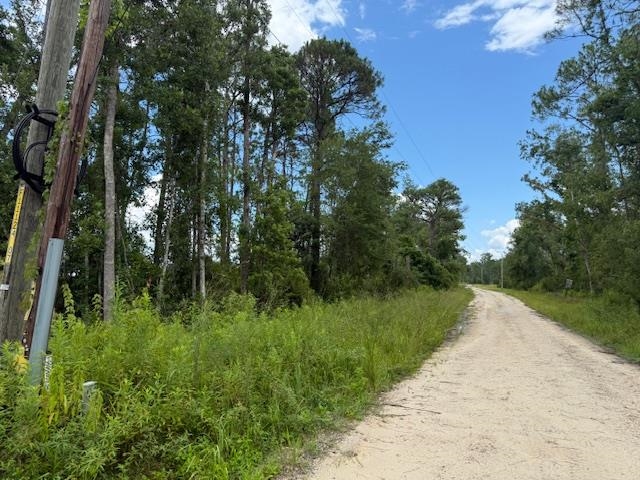 TBD Albert Hendry Road, Greenville, Florida image 29