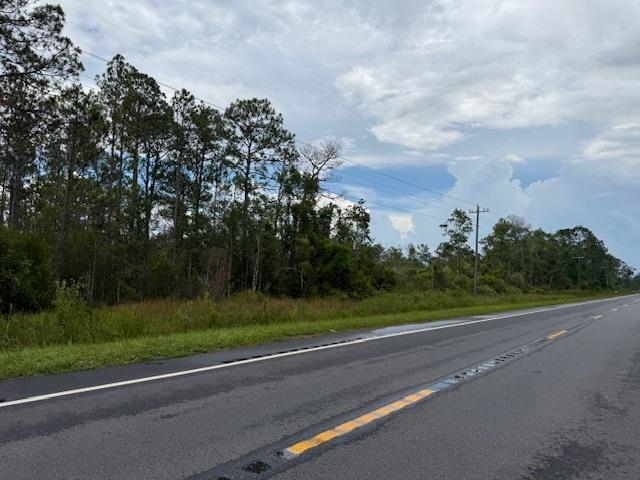 TBD Albert Hendry Road, Greenville, Florida image 3