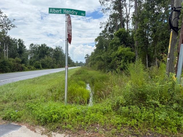 TBD Albert Hendry Road, Greenville, Florida image 30
