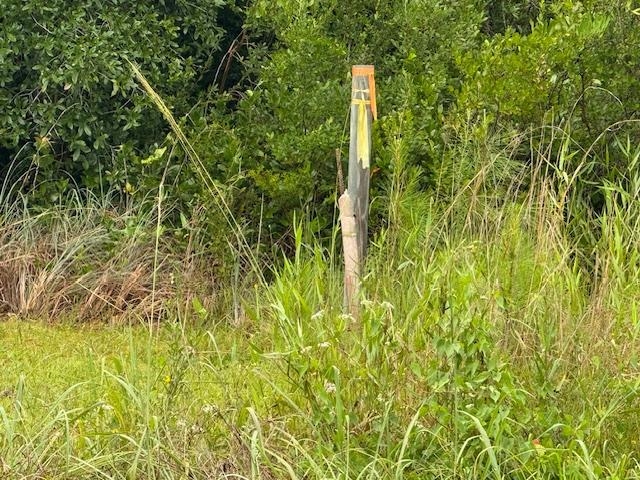TBD Albert Hendry Road, Greenville, Florida image 31