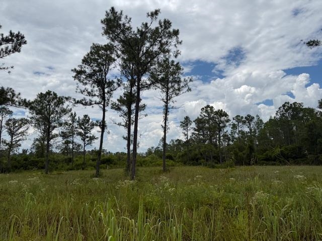 TBD Albert Hendry Road, Greenville, Florida image 4