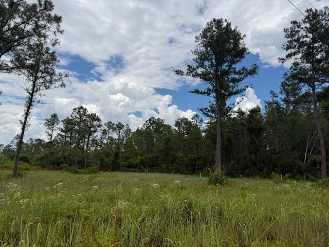 TBD Albert Hendry Road, Greenville, Florida image 5