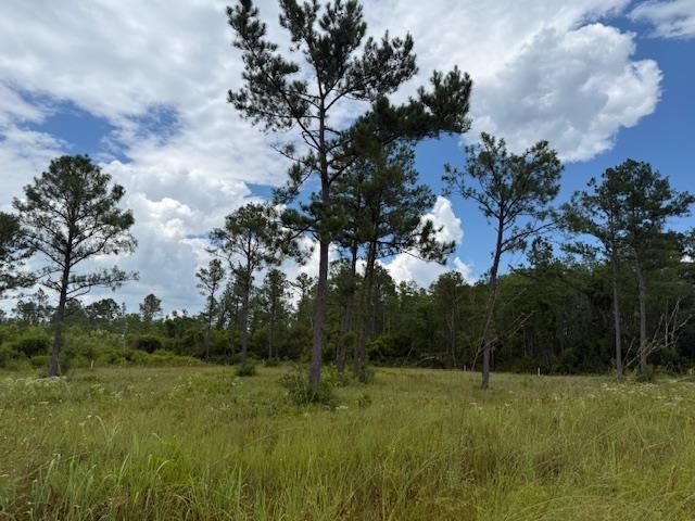 TBD Albert Hendry Road, Greenville, Florida image 6