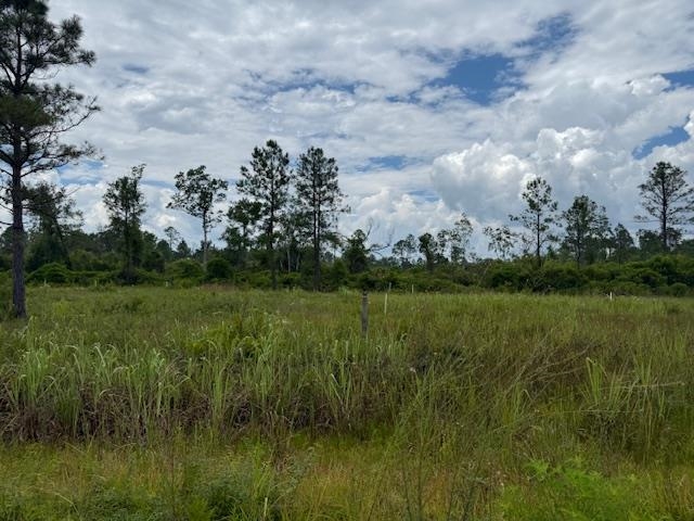 TBD Albert Hendry Road, Greenville, Florida image 8