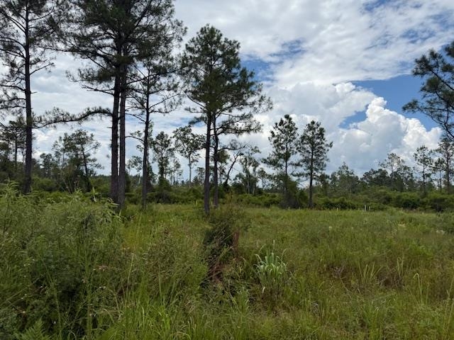 TBD Albert Hendry Road, Greenville, Florida image 9