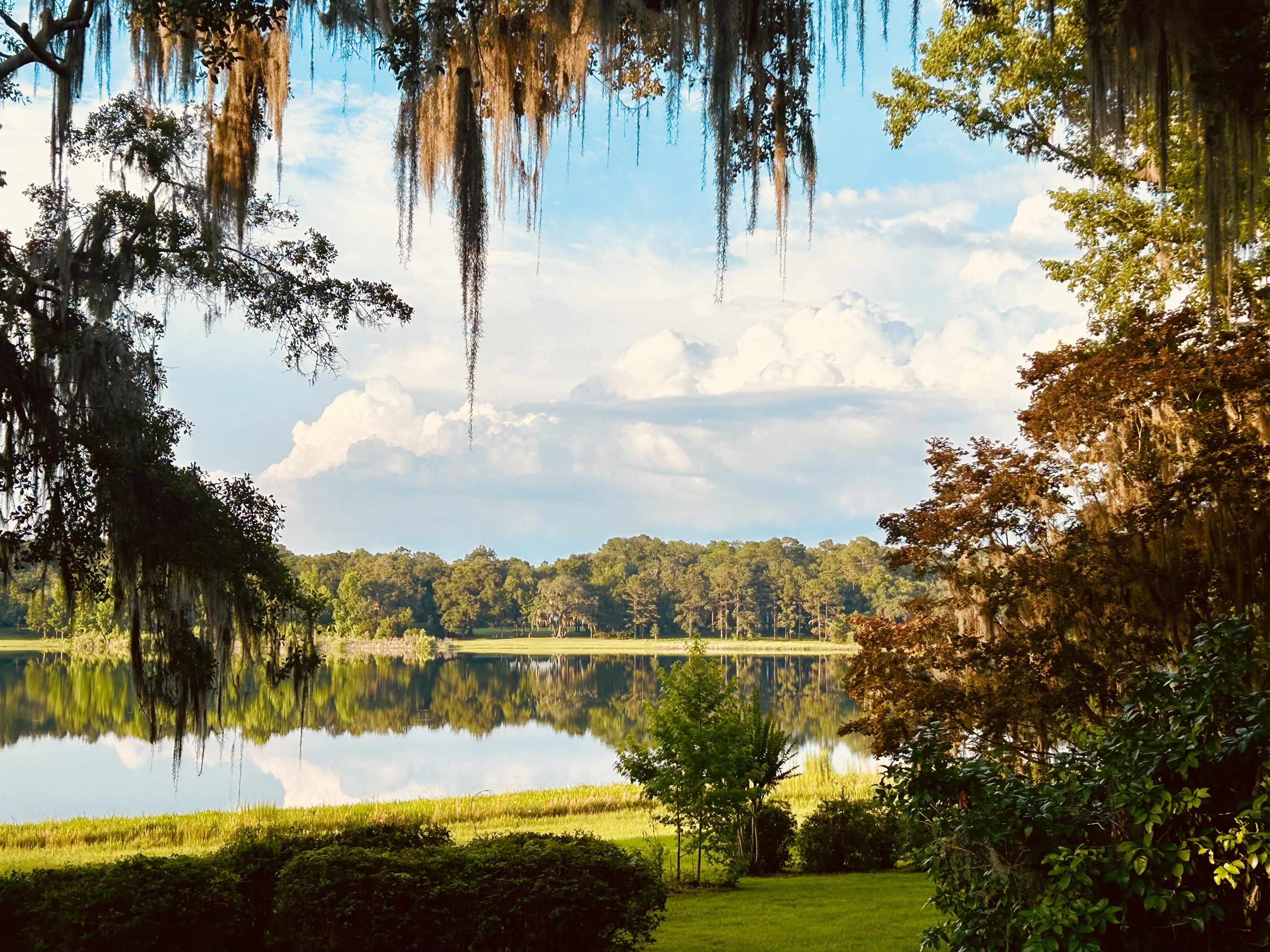 6131 Heartland Circle Circle, Tallahassee, Florida image 5